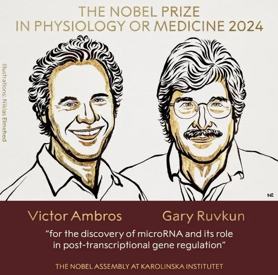 2024年诺贝尔生理学或医学奖获奖者，Victor Ambros和Gary Ruvkun